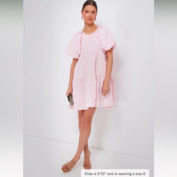 Sold Out NWOT  Hyacinth House Tnuck Pink Diamond Textured Isabella Mini … - Picture 3 of 17